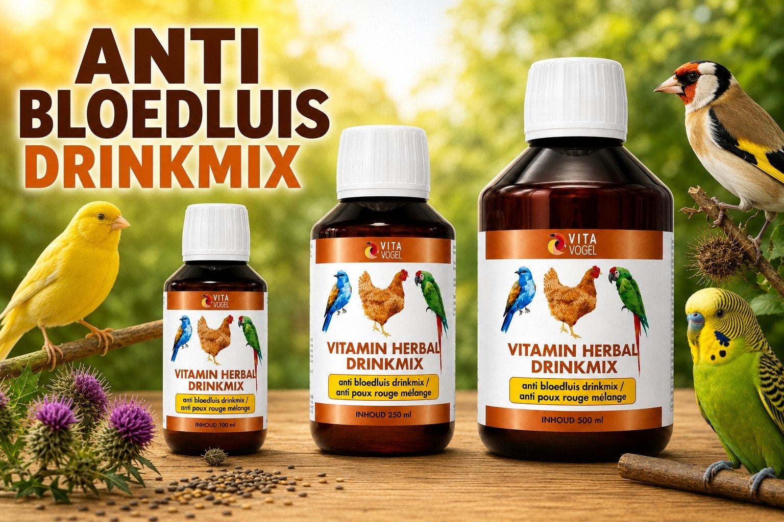 Mélange de boissons vitaminées à base de plantes 100 ml (mél, Enlèvement, Neuf, Manger et Boire