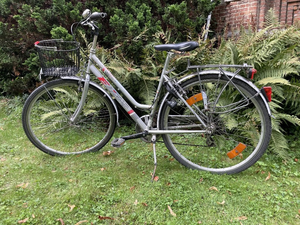 Damesfiets / stadsfiets met grote voormand, Fietsen en Brommers, Ophalen, Versnellingen