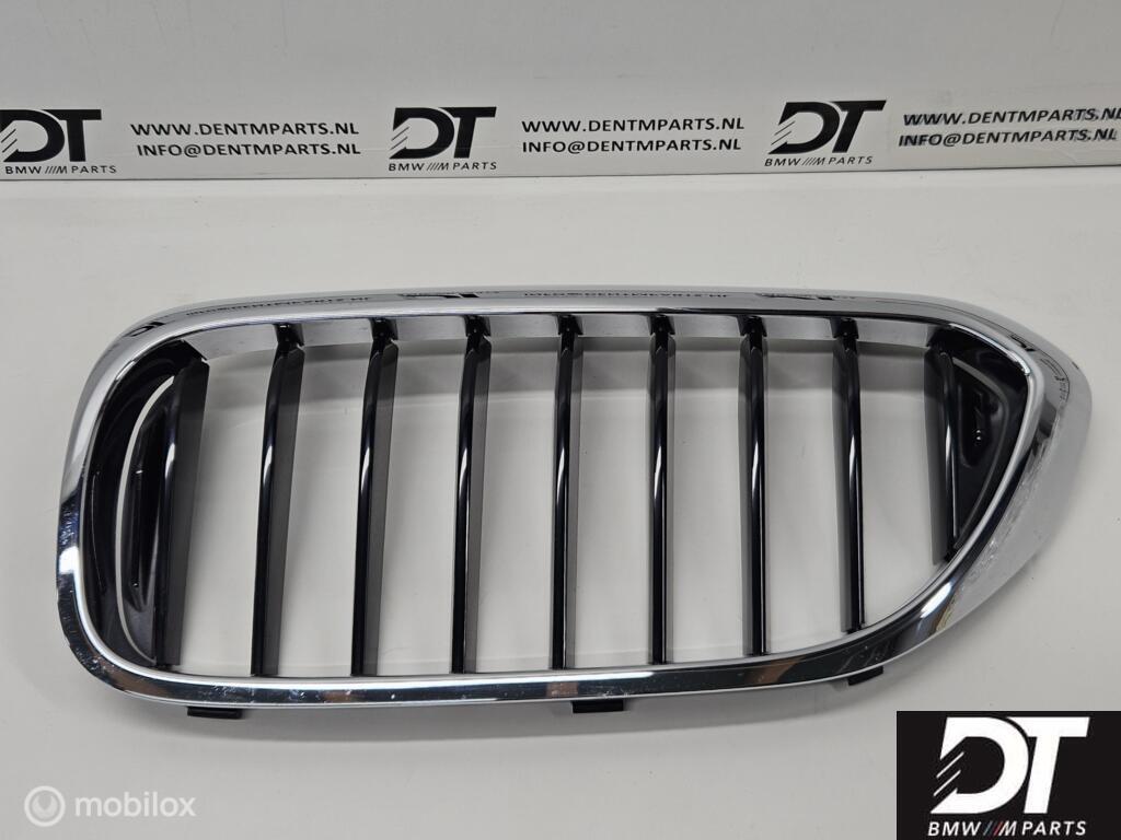 Grille links BMW 5-serie G30 G31 51137390863, Gebruikt, Ophalen of Verzenden, BMW, BMW