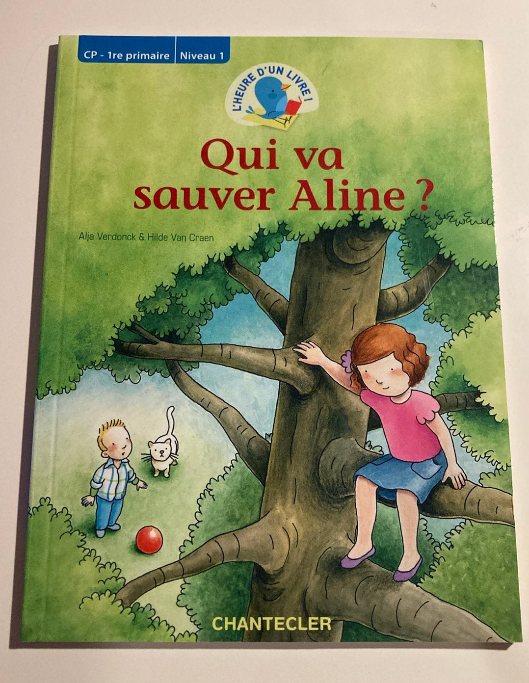 Livre 1re primaire (niveau 1), Livres, Enlèvement ou Envoi, Neuf