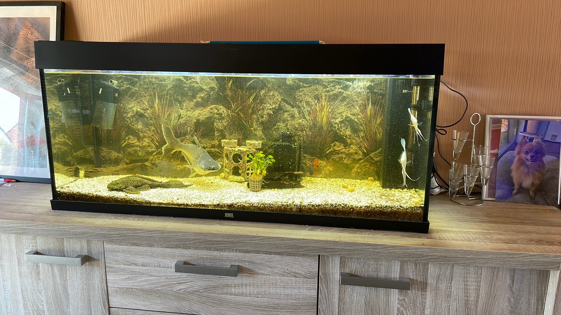 Aquarium, Enlèvement, Utilisé
