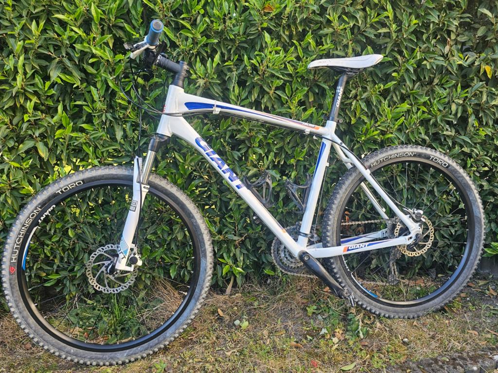 Mountainbike Giant, zo goed als nieuw, Ophalen, Hardtail, 49 tot 53 cm, Giant