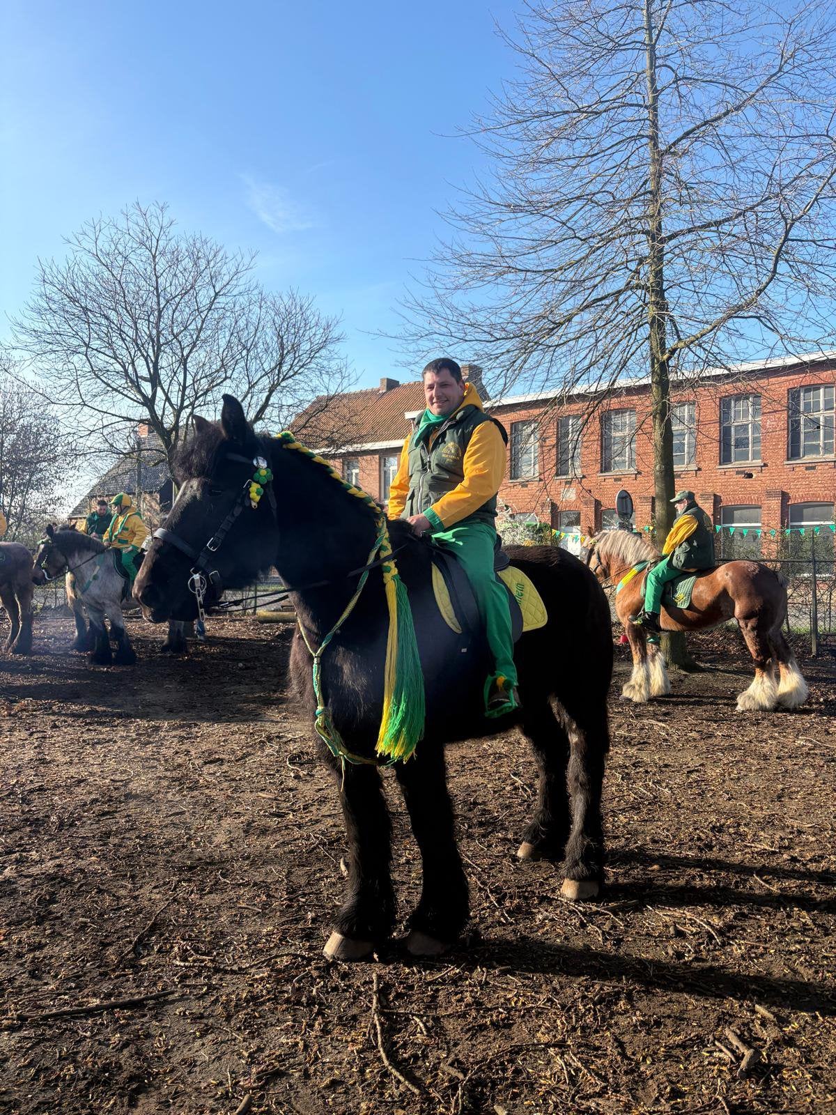 Zwarte Trekpaard Merrie, Animaux & Accessoires, Chevaux, Jument, Débourré, 170 à 175 cm, 3 à 6 ans, Cheval de récréation, Avec pedigree
