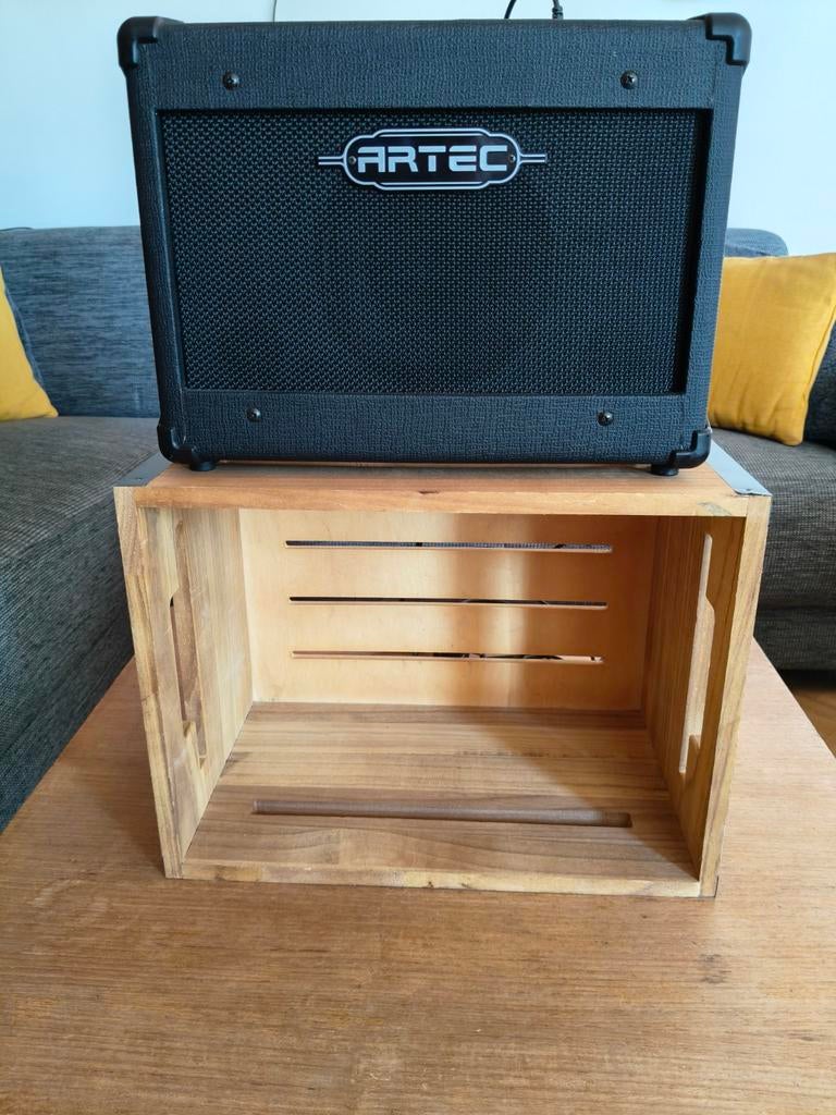 Artec A15c  gitaarversterker, Enlèvement, Guitare