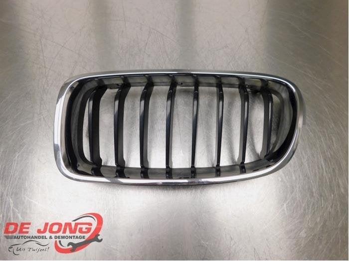 Calandre d'un BMW 3-Serie, -, 3 mois de garantie, Utilisé, -