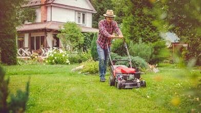 Besoin d'aide, Diensten en Vakmensen, Tuinmannen en Stratenmakers, Tuinonderhoud of Snoeiwerk
