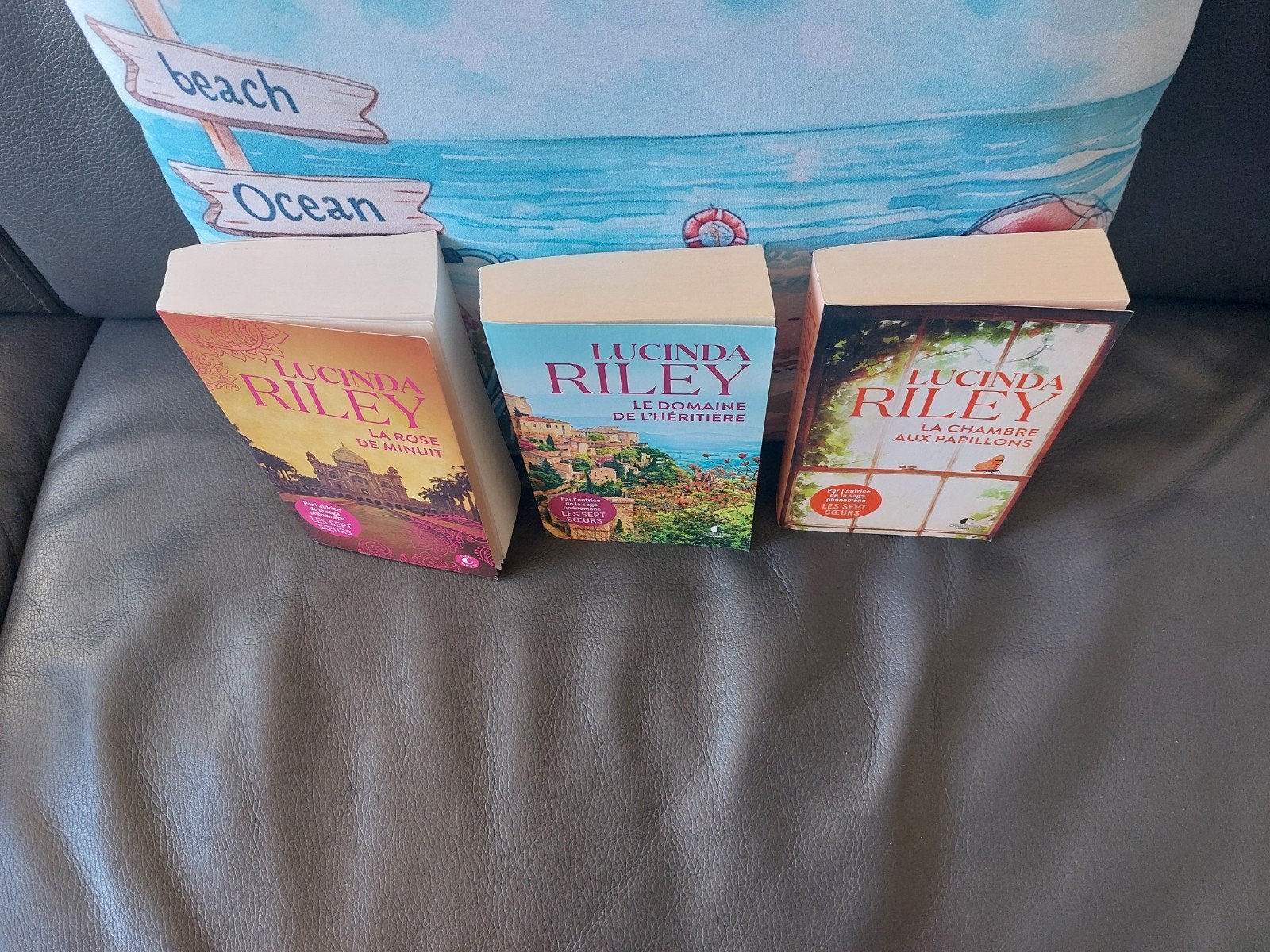Lucinda Riley 3 livres en parfait état, Enlèvement