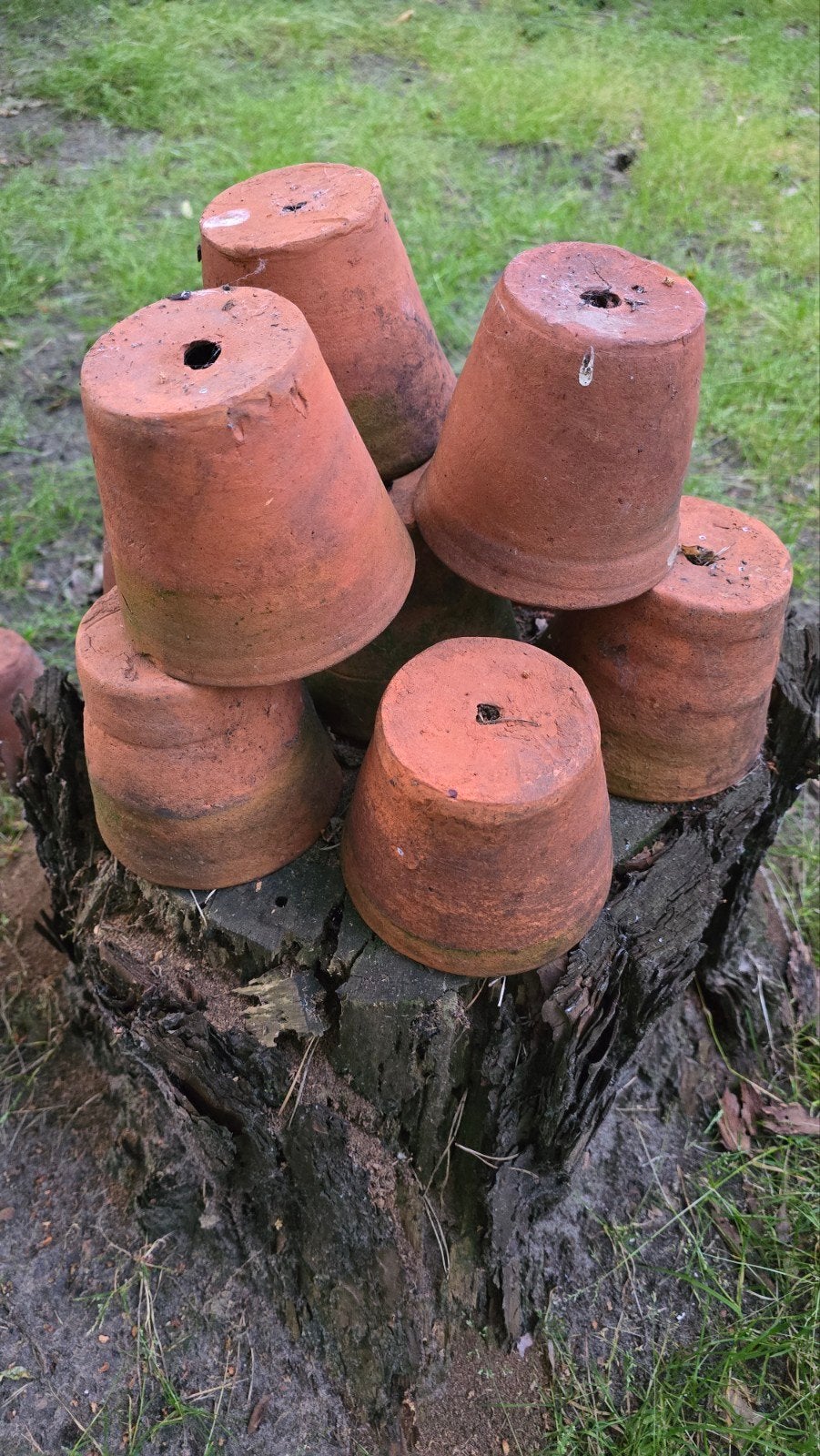 Stenen rode oude bloempotten (afhalen Herentals), Enlèvement