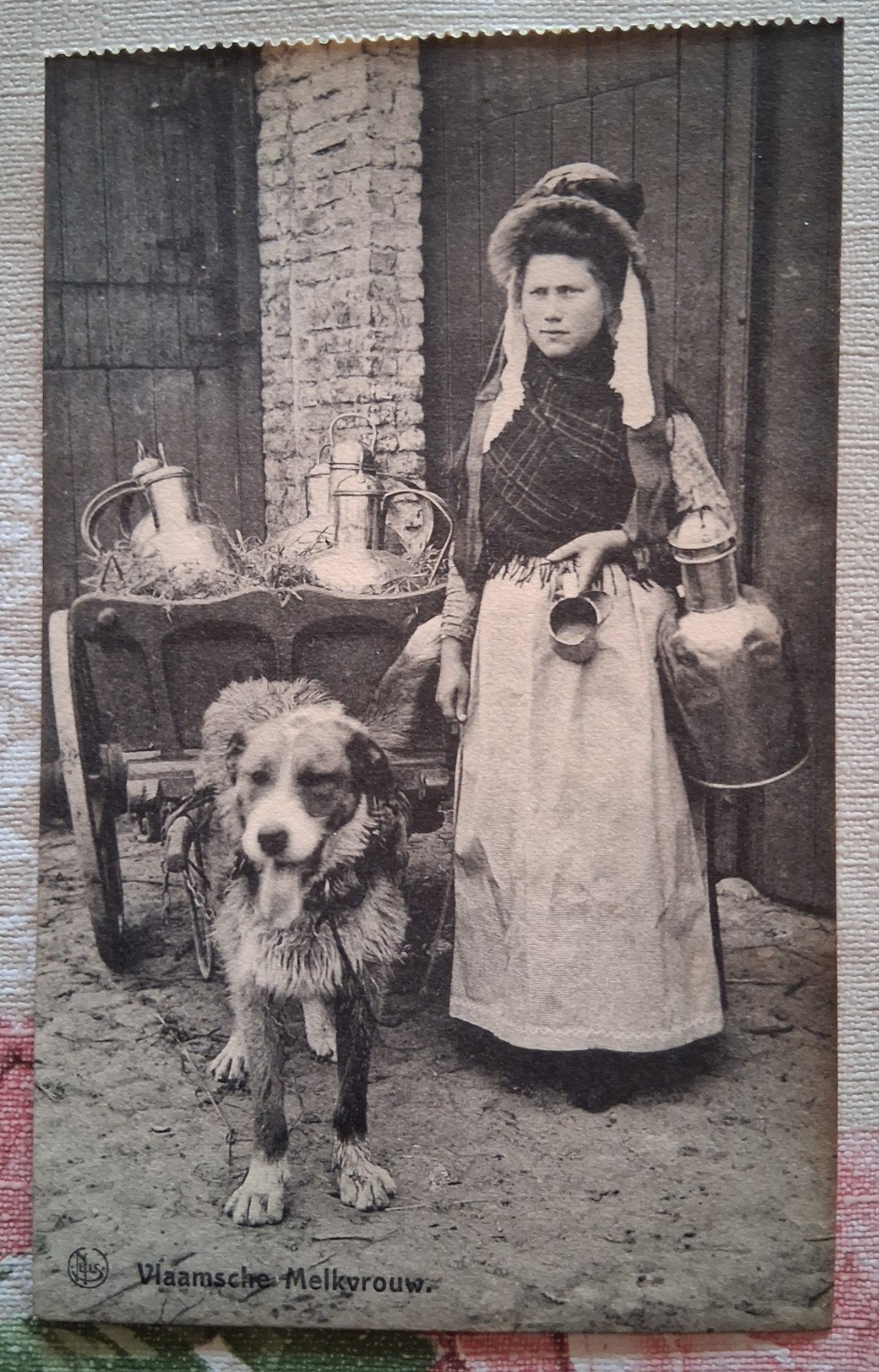 Vintage Postkaart De Vlaamse Melkvrouw, Ophalen of Verzenden