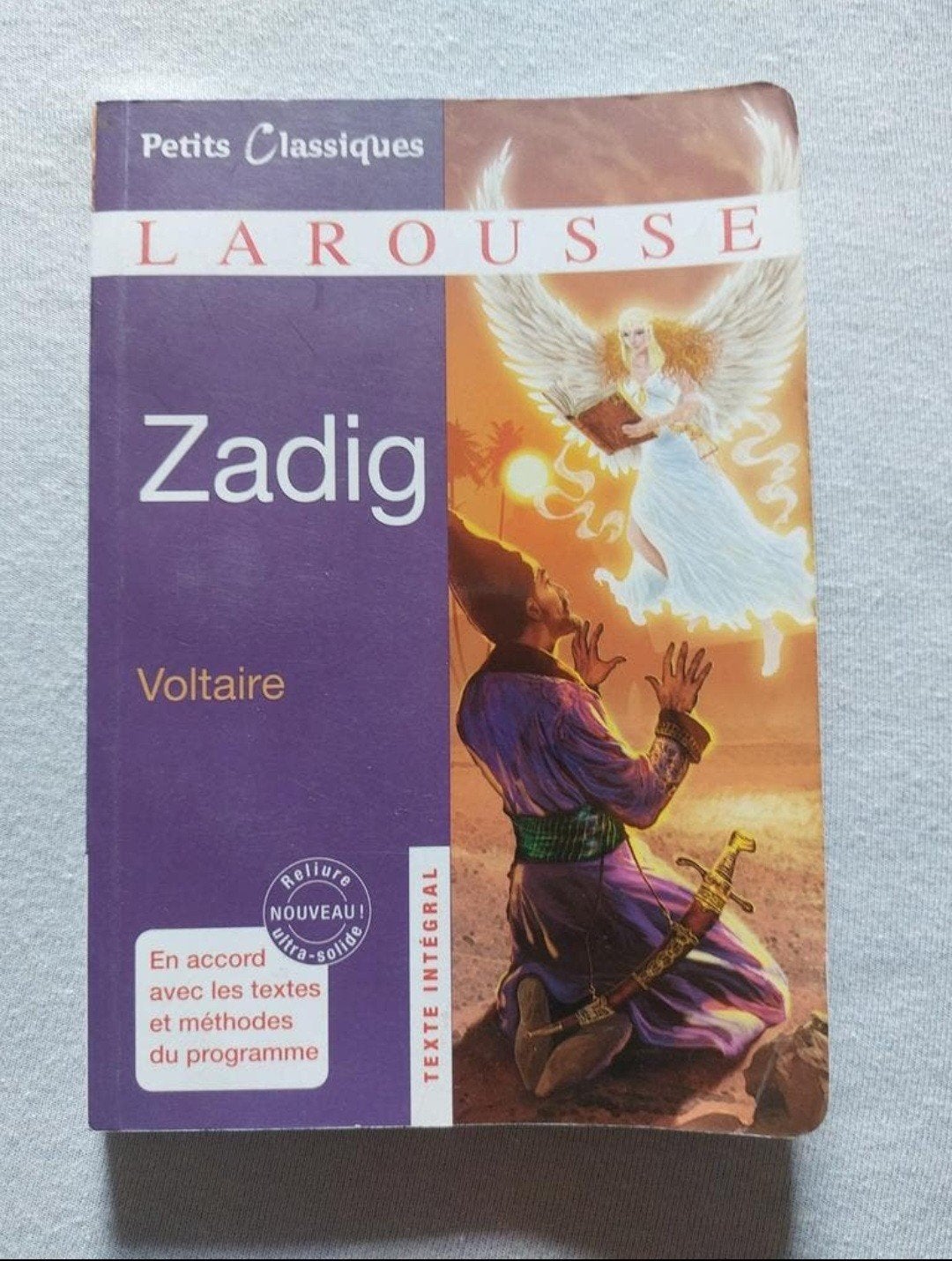 Zadig de Voltaire, Enlèvement, Utilisé, Français
