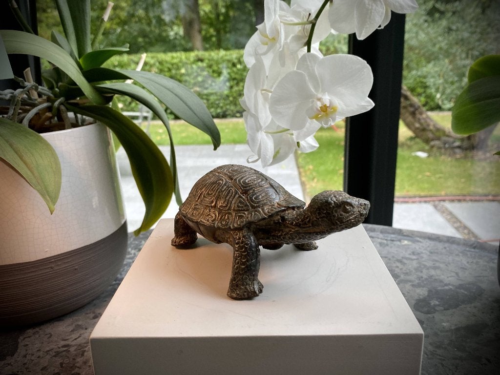 Tortue en Bronze  Signé Pierre  Chenet  Art déco 1940, Enlèvement ou Envoi, Bronze