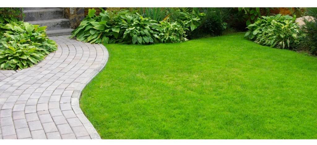 Tuinonderhoud en tuinaanleg, Diensten en Vakmensen