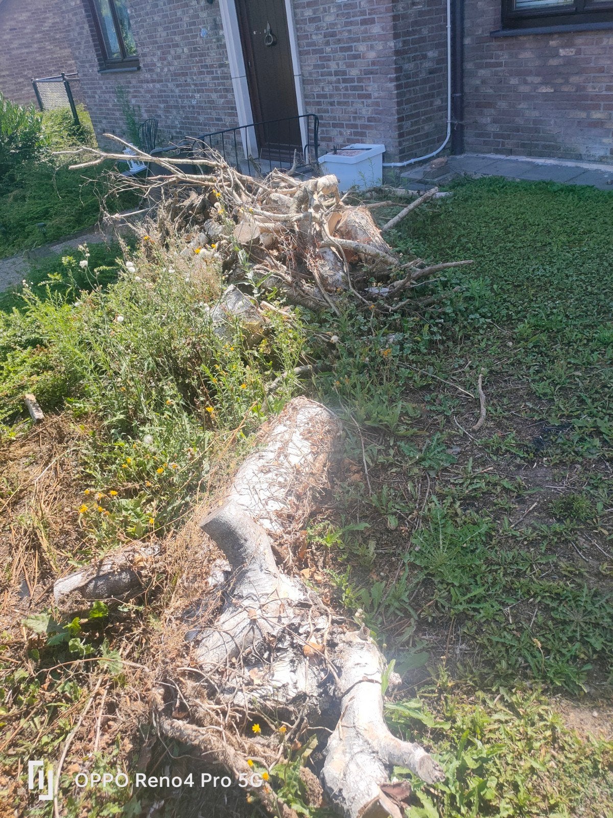 bois pour feu ouvert à donner, Dieren en Toebehoren