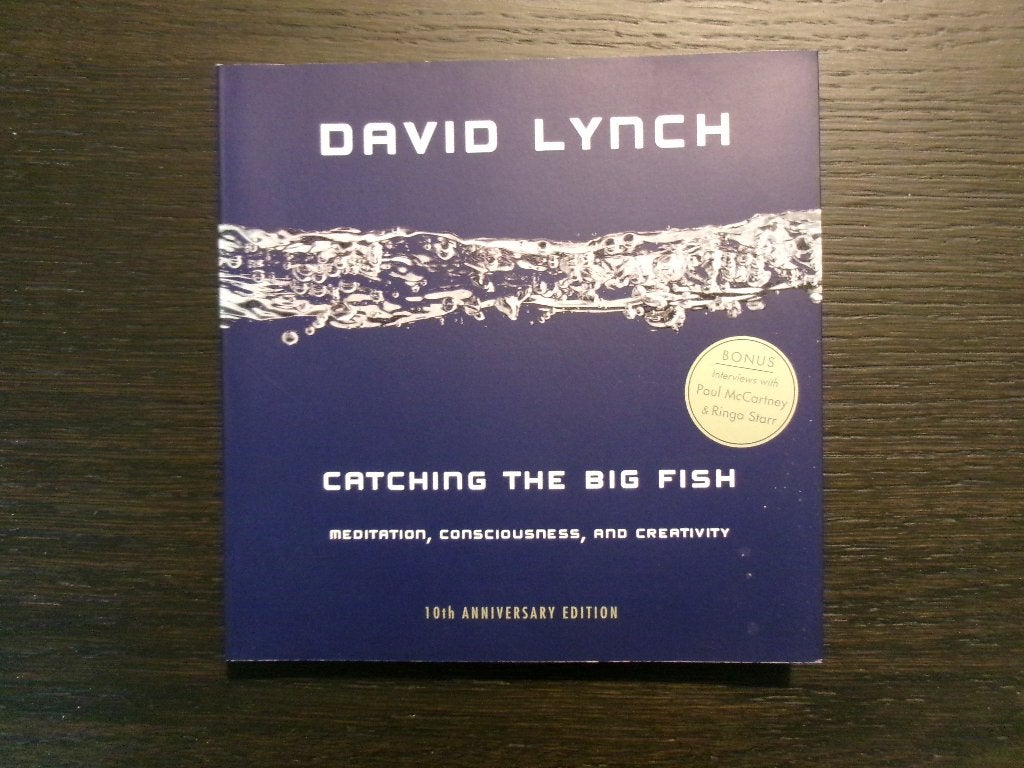 Catching the Big Fish   -David Lynch-, Boeken, Ophalen of Verzenden