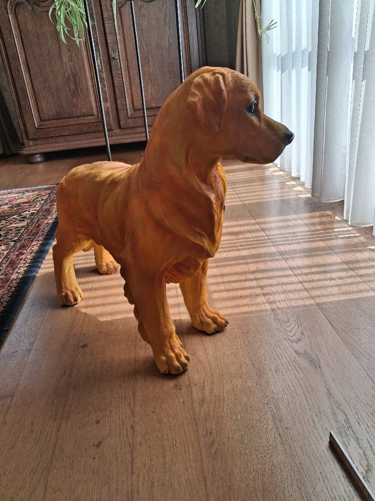 Mooi beeld Golden retriever, Ophalen