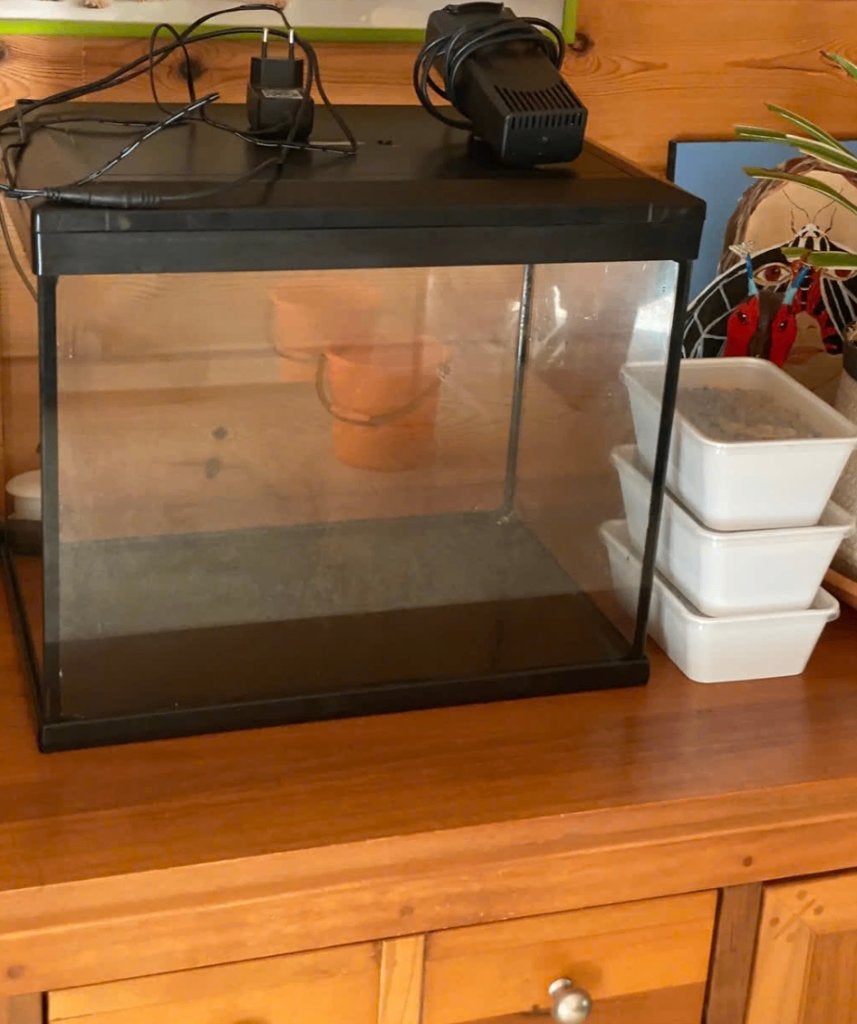 Aquarium utilisé petit à moyen format 40L, Aquarium vide, Enlèvement, Utilisé, Couvercle inclus