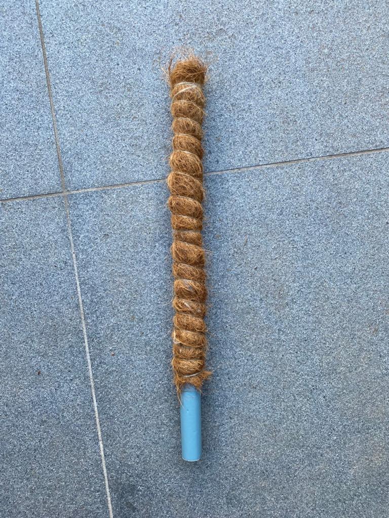 Plantenstok kokos 60 cm, Ophalen, Gebruikt, Minder dan 60 cm