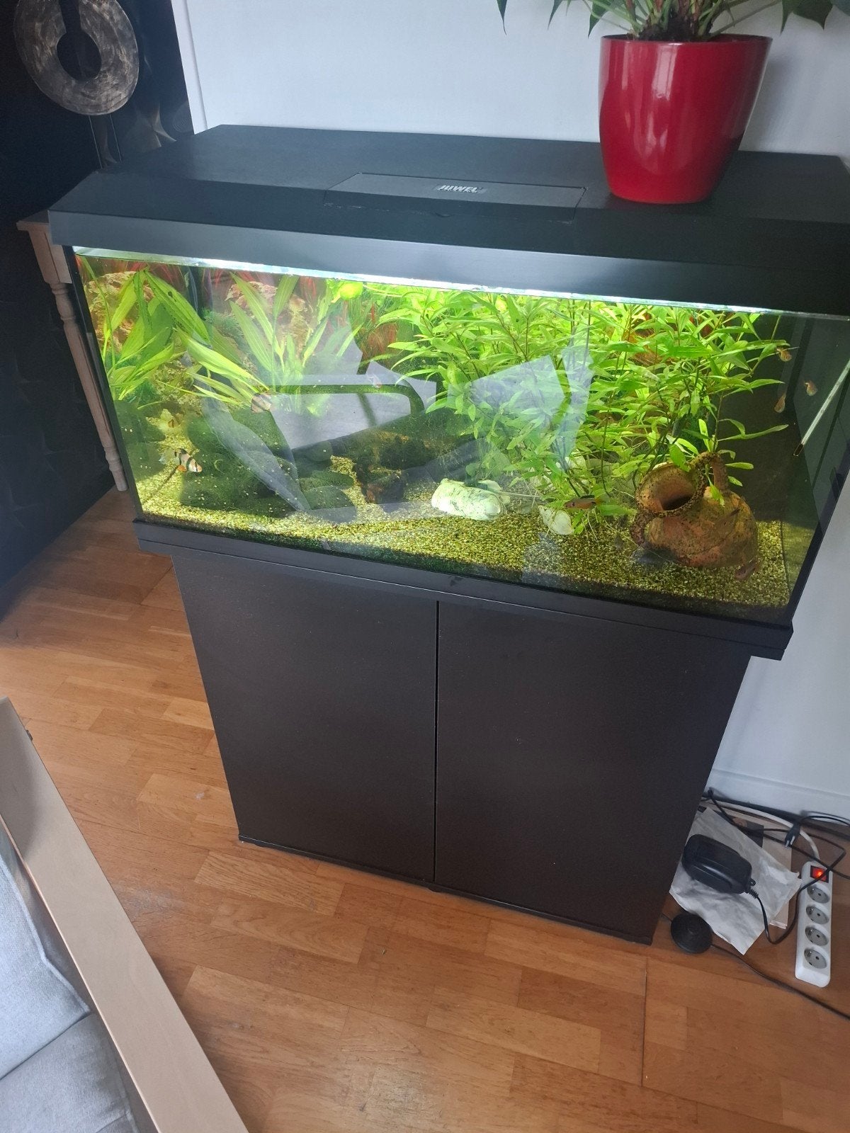 aquarium juwel 110, Ophalen, Zo goed als nieuw, Juwel