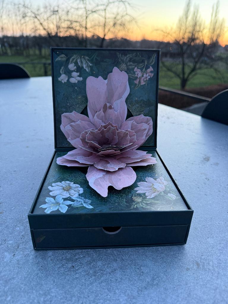 Tomorrowland Belgium 2024 Treasure Case - With Bracelet, Verzamelen, Ophalen of Verzenden, Nieuw