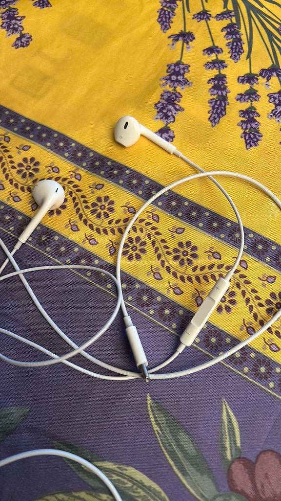 Écouteurs filaire USB-C (Apple), Enlèvement, Utilisé