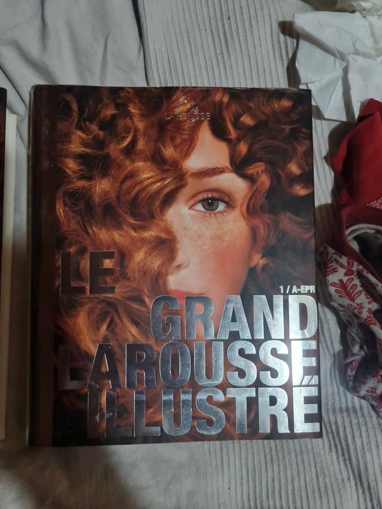 Woordenboek 1 en 2, Ophalen of Verzenden, Zo goed als nieuw
