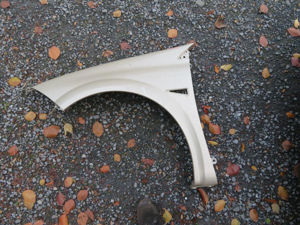 Linker voorvleugel Renault Megane 2002-2008, Ophalen, Gebruikt, Voor, Renault