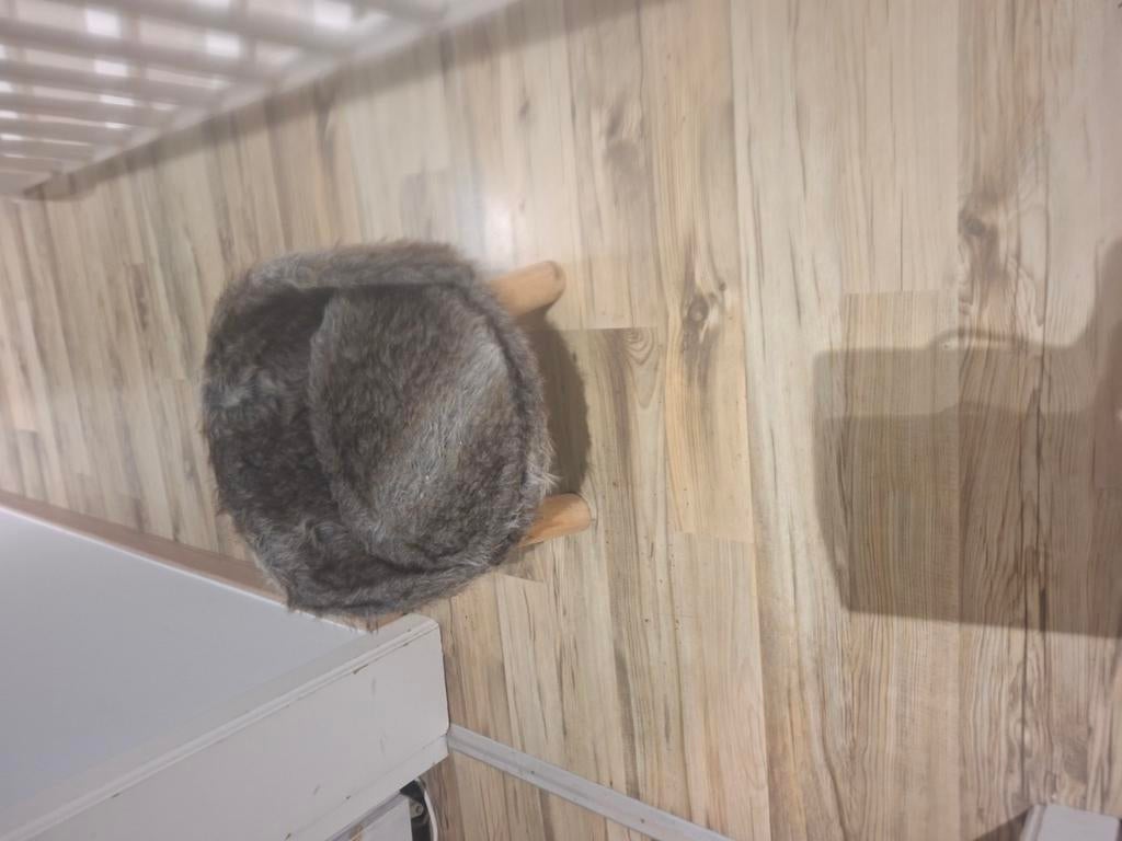 Kattenstoeltje, Enlèvement
