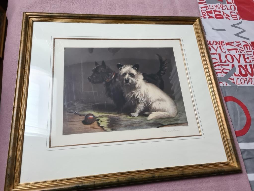Scotty &  Khaki, Antiek en Kunst, Ophalen