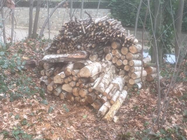 Brandhout te koop, 3 à 6 m³, Enlèvement, Chêne, Bûches