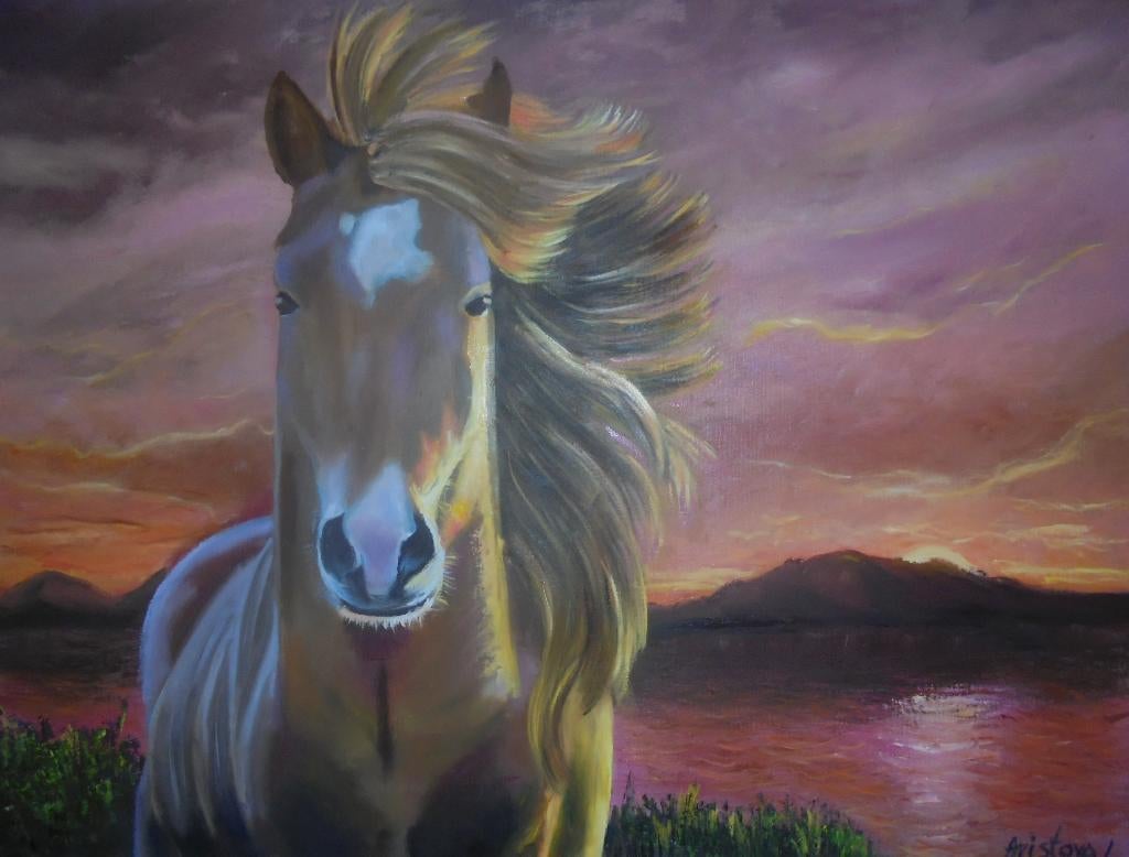peinture à l'huile cheval (60x80), Enlèvement ou Envoi