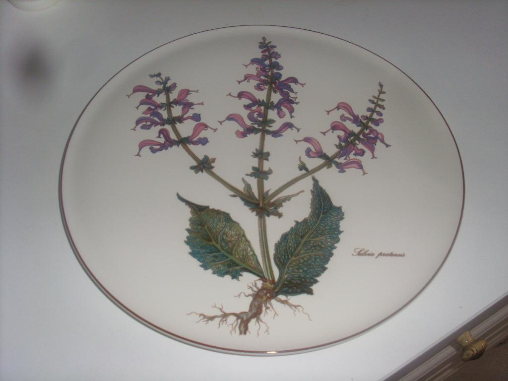 vaisselle : plat à tarte BOTANICA 30 cm, Maison & Meubles, Enlèvement, Comme neuf