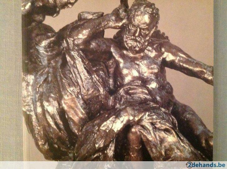 Auguste Rodin sculptures 120pag, 160ill., Ophalen of Verzenden, Nieuw