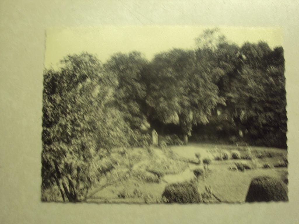 46487 - SINT-ANDRIES BRUGGE - ZONNEHUIS ST-CAMILLUS - TUIN, Verzenden