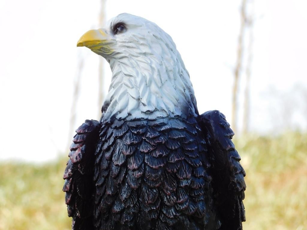 Aigle sur une souche d'arbre - 37 cm - Polystone, Enlèvement ou Envoi
