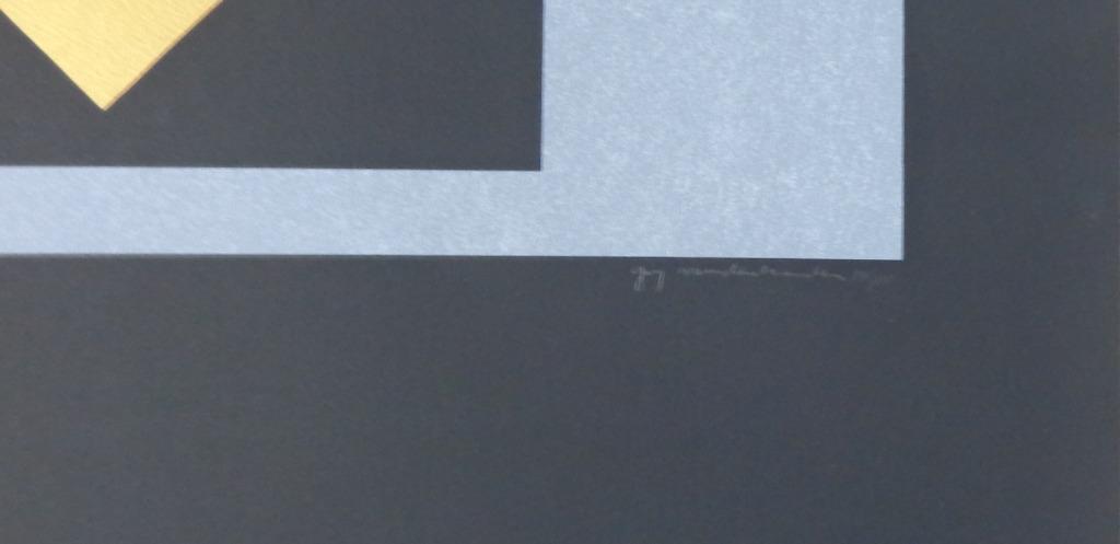 GUY VANDENBRANDEN / KUNST CAMPUS / KLEURZEEFDRUK / 72x55cm, Antiek en Kunst, Kunst | Litho's en Zeefdrukken, Ophalen of Verzenden