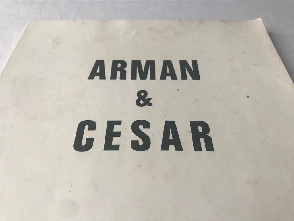 Arman & César Sculptures 100pag, Ophalen of Verzenden, Zo goed als nieuw, Beeldhouwkunst