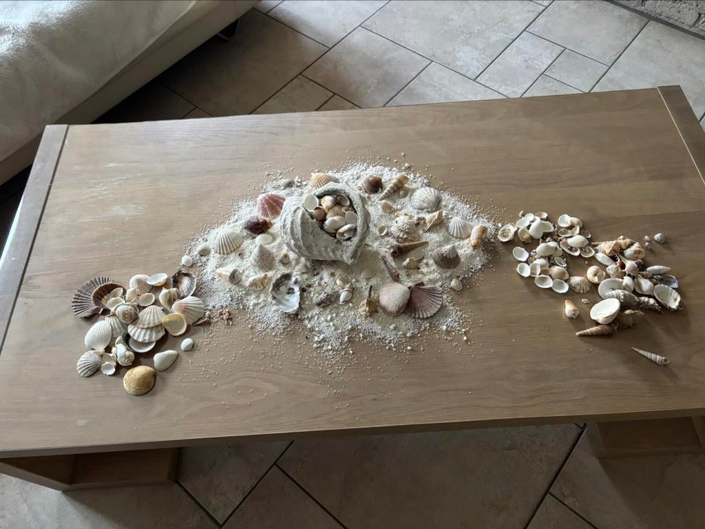 Schelp met kleine en grote schelpen in ‘t zand, Huis en Inrichting, Ophalen of Verzenden, Zo goed als nieuw, Beige