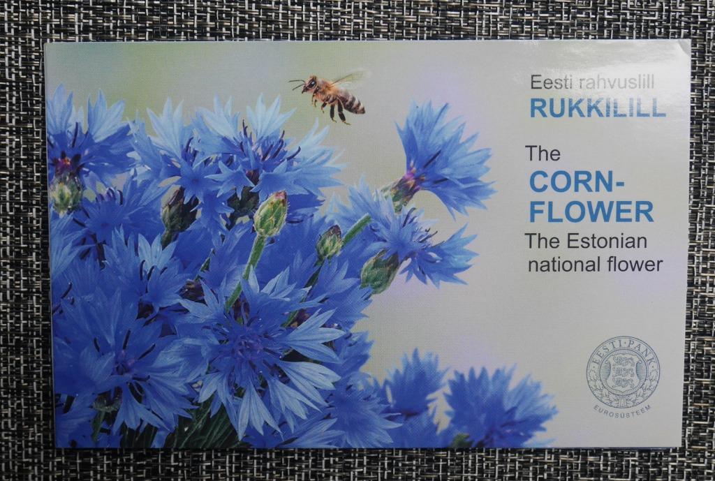 2 euro Coincard Estland 2024 BU Estse nationale bloem,, Postzegels en Munten, Munten | Europa | Euromunten, Ophalen of Verzenden