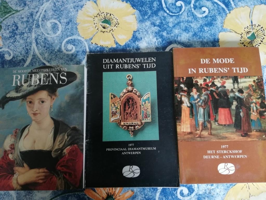 Rubens: 4 boeken over zijn kunstwerken, Enlèvement ou Envoi, Utilisé, Peinture et dessin