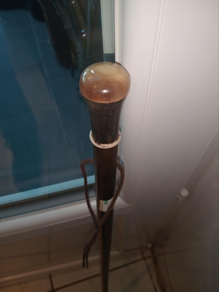 Ancienne canne pommeau en corne, Divers, Bâtons de marche, Enlèvement ou Envoi