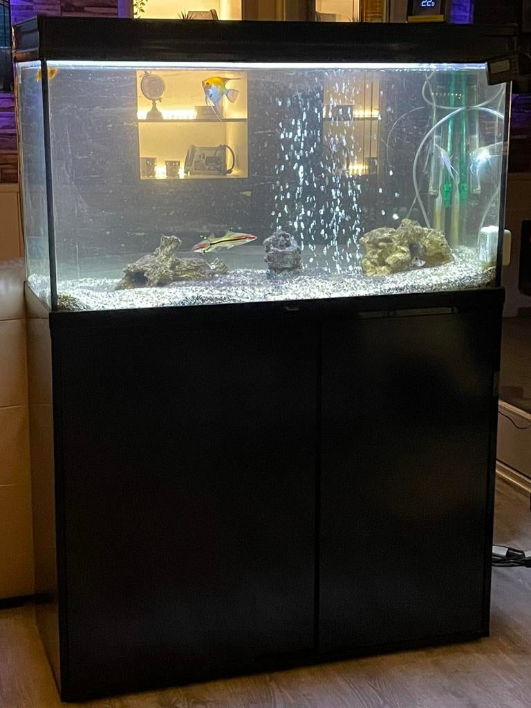 Visbak + kast, Dieren en Toebehoren, Vissen | Aquaria en Toebehoren, Ophalen, Gebruikt