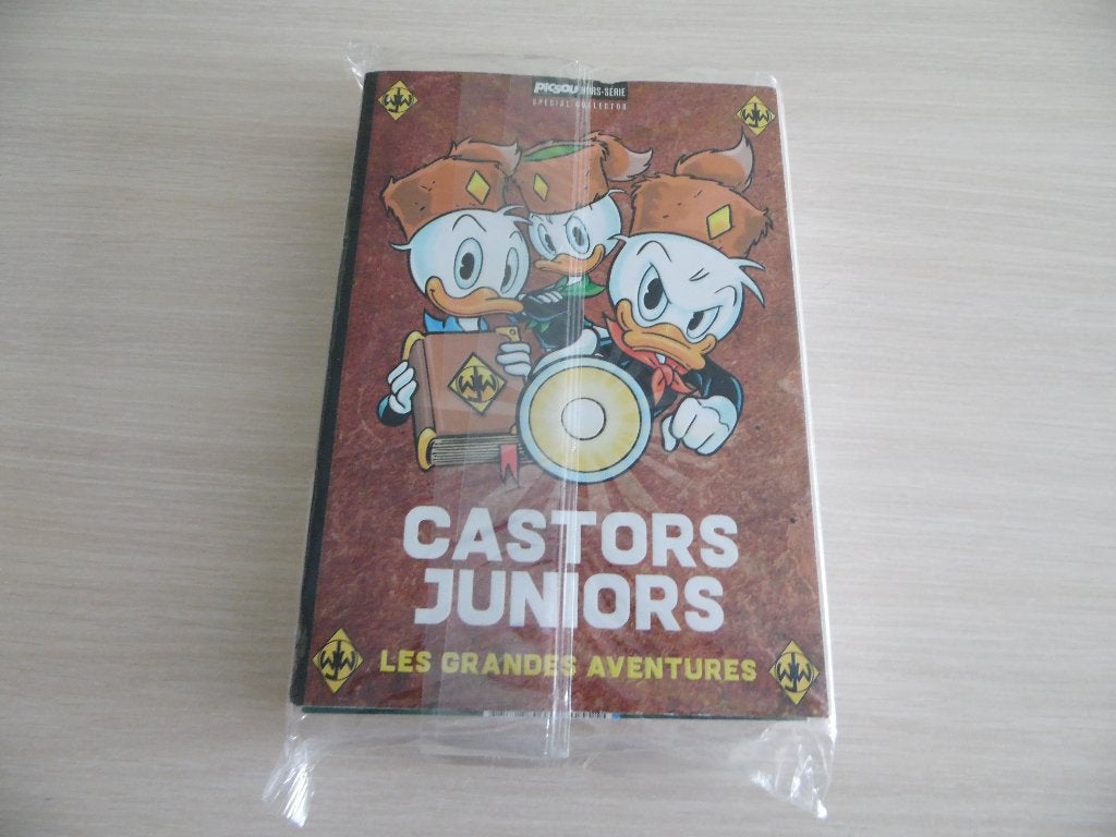 PICSOU HORS SÉRIE CASTORS JUNIORS 2 LIVRES NEUF, Meerdere stripboeken, Ophalen of Verzenden, Nieuw, WALT DISNEY