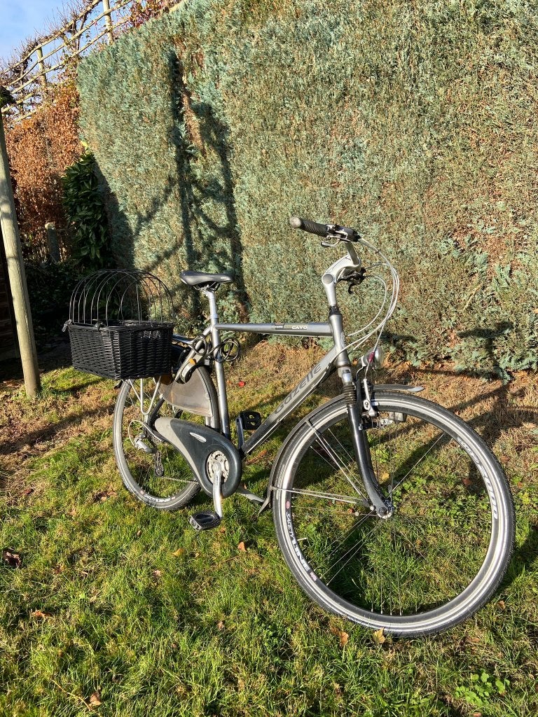 Hondenfietsmand, Dieren en Toebehoren, Ophalen, Gebruikt, Riet
