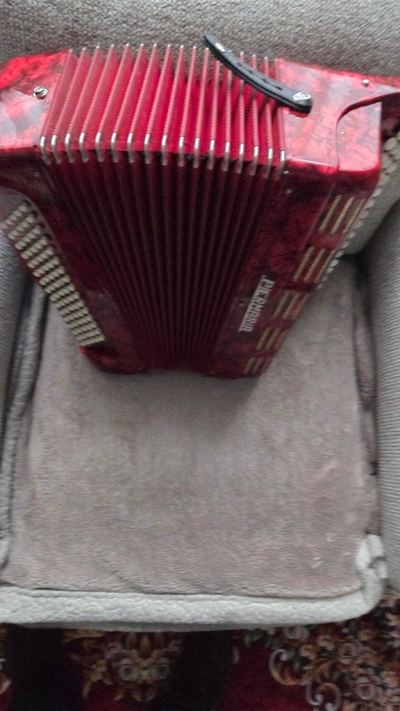 Accordéon chromatique, Avec valise, Enlèvement, Utilisé, Accordéon à boutons
