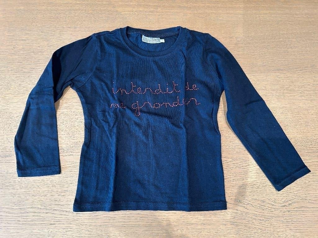 T-shirt lange mouwen meisje 104 - 4 jaar, Kinderen en Baby's, Kinderkleding | Maat 104, Ophalen of Verzenden, Zo goed als nieuw