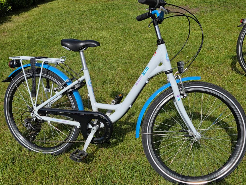 Vélo Batavus 26 pouces pour filles à vendre, état presque ne, Enlèvement, Vitesses
