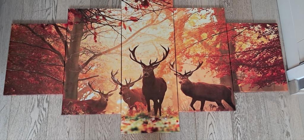 Ensemble de 5 photos sur toile : cerf en forêt, Enlèvement