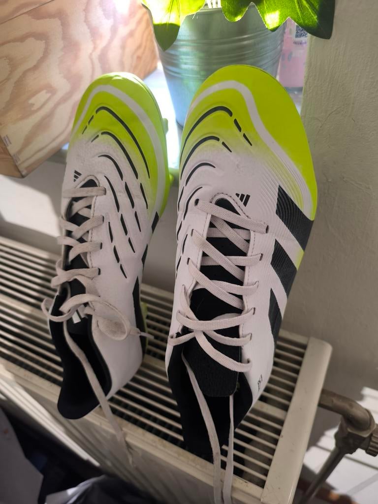 Chaussures de foot adidas predator FM/MG, Verzamelen, Ophalen