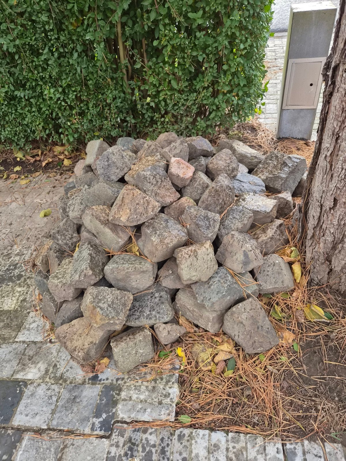 Gratis, enkele trofeeën van Parijs-Roubaix, Tuin en Terras, Ophalen