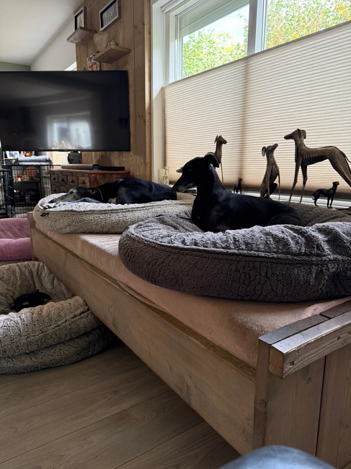 Steigerhouten hondenbed bed hond, Dieren en Toebehoren, Ophalen, Gebruikt